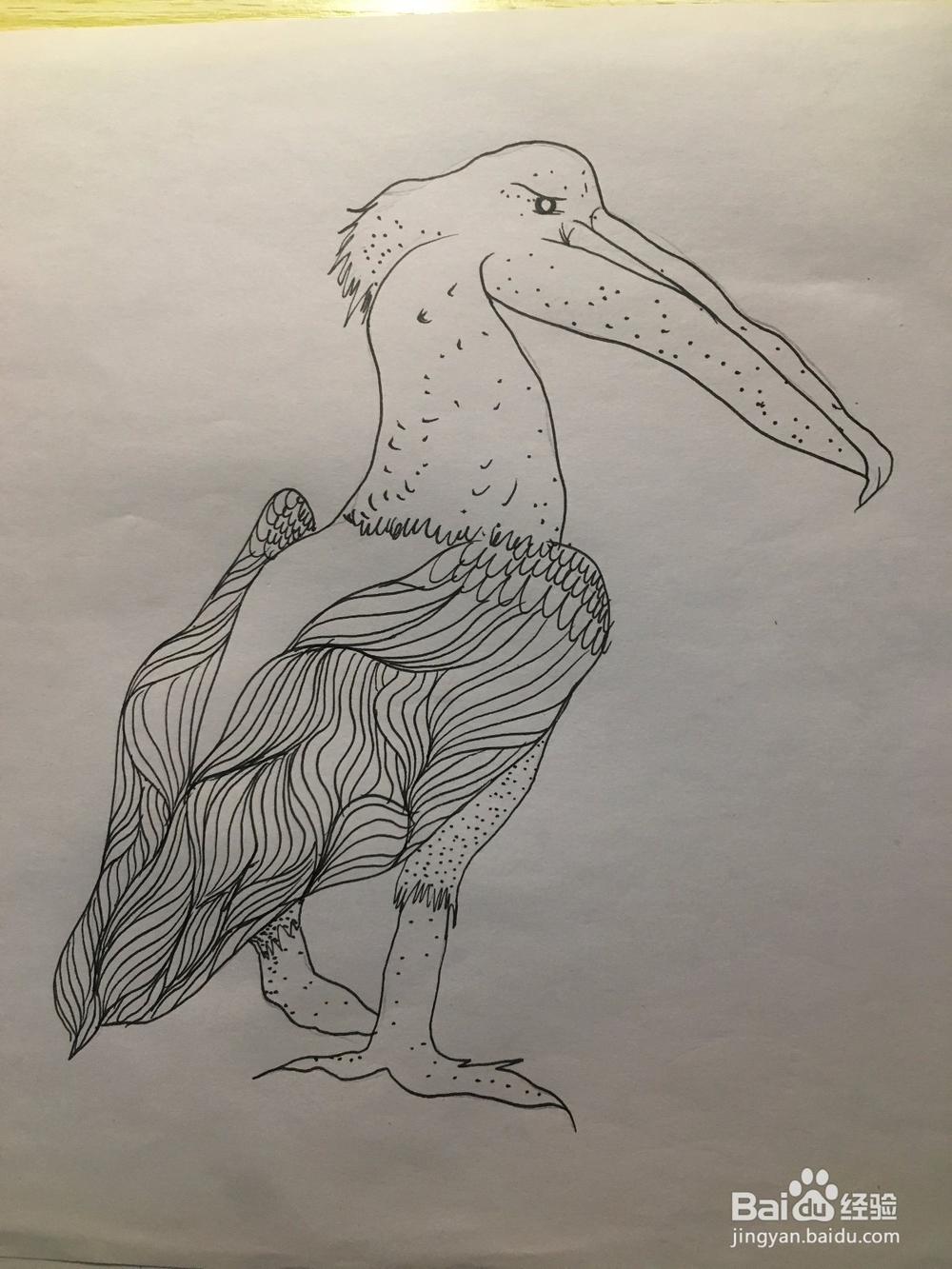 画一只长嘴巴的鸟儿 简笔画之鸟儿 儿童画 线描