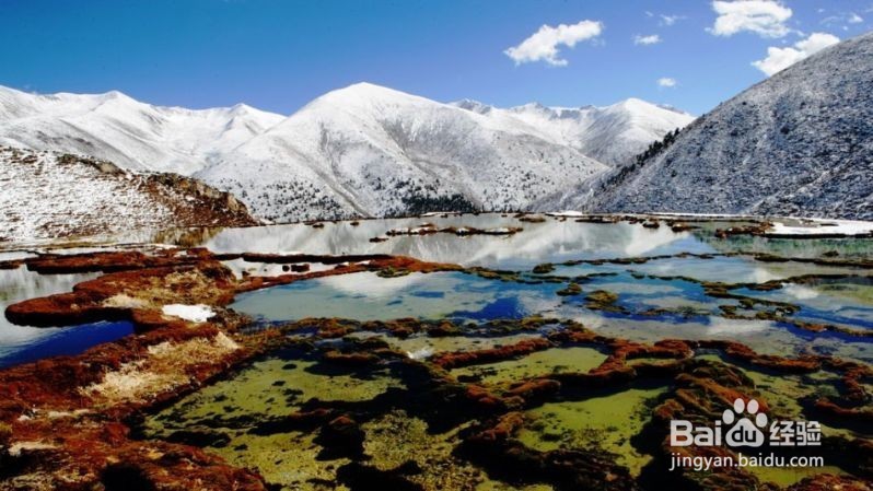 成都最新6日游攻略 成都自驾旅游攻略成都旅行社