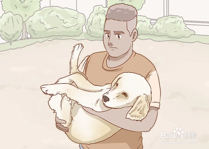 如何治疗中暑的爱犬