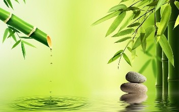 早上早起跑步好