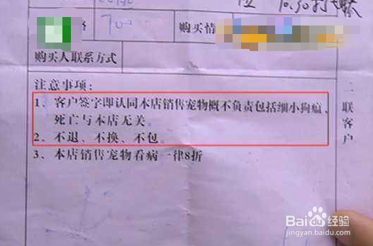 宠物店买到病狗怎么办