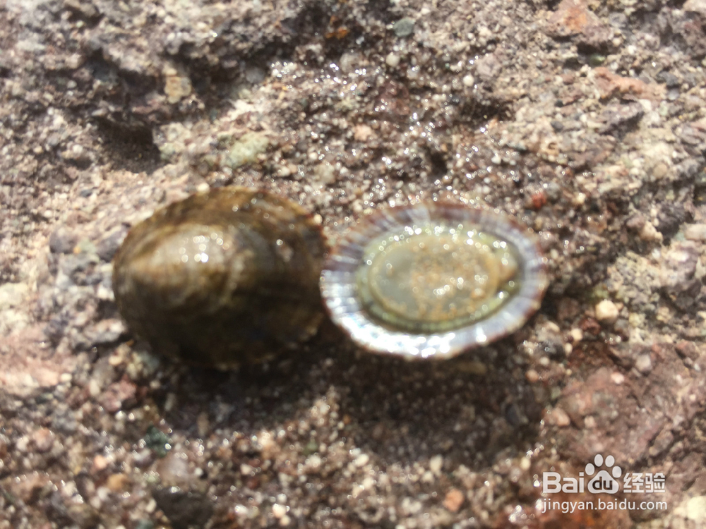 沙滩上寻找乐趣