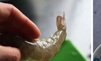 蒜香金沙虾怎样做