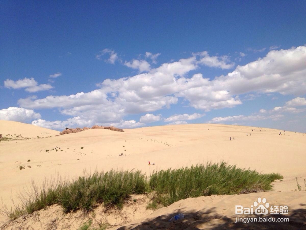 如何得到女孩的芳心?