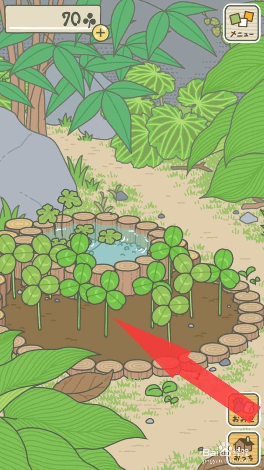 青蛙旅行怎么在桌子上放食物