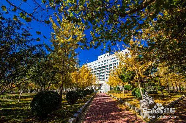 报考无忧介绍8所具有211实力的高校