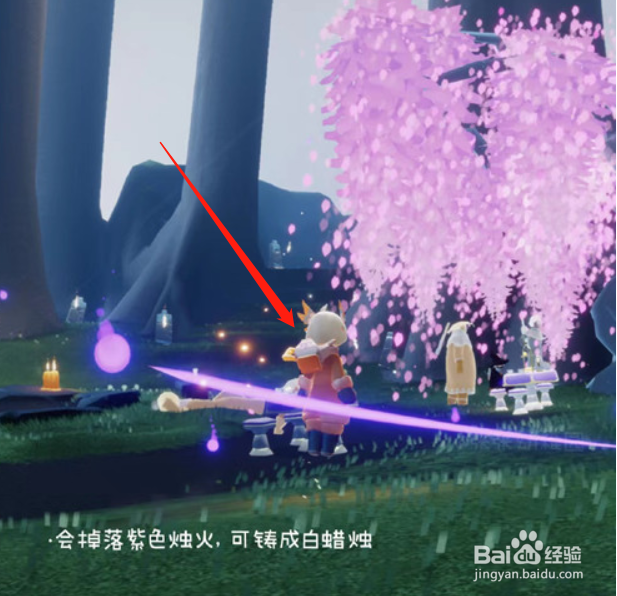 光遇花憩节挂机攻略2022