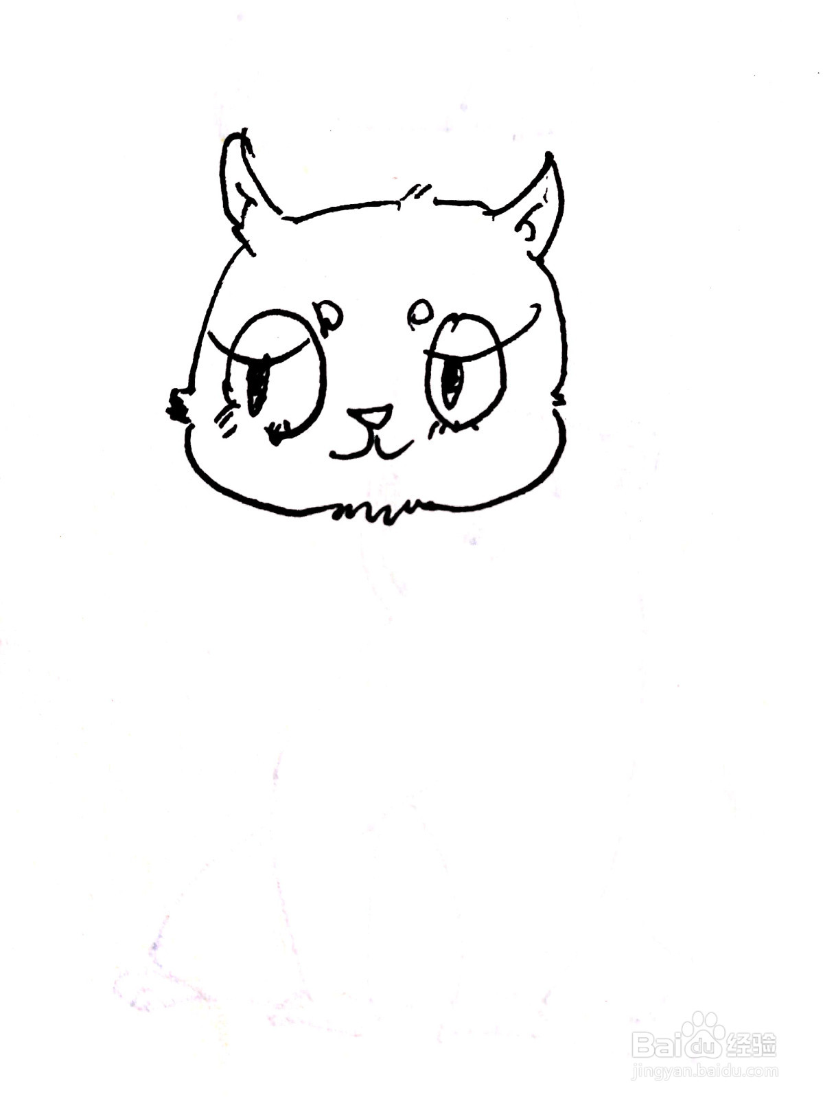 打瞌睡的猫线描画怎么画