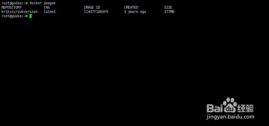 Docker中安装配置SVN服务器