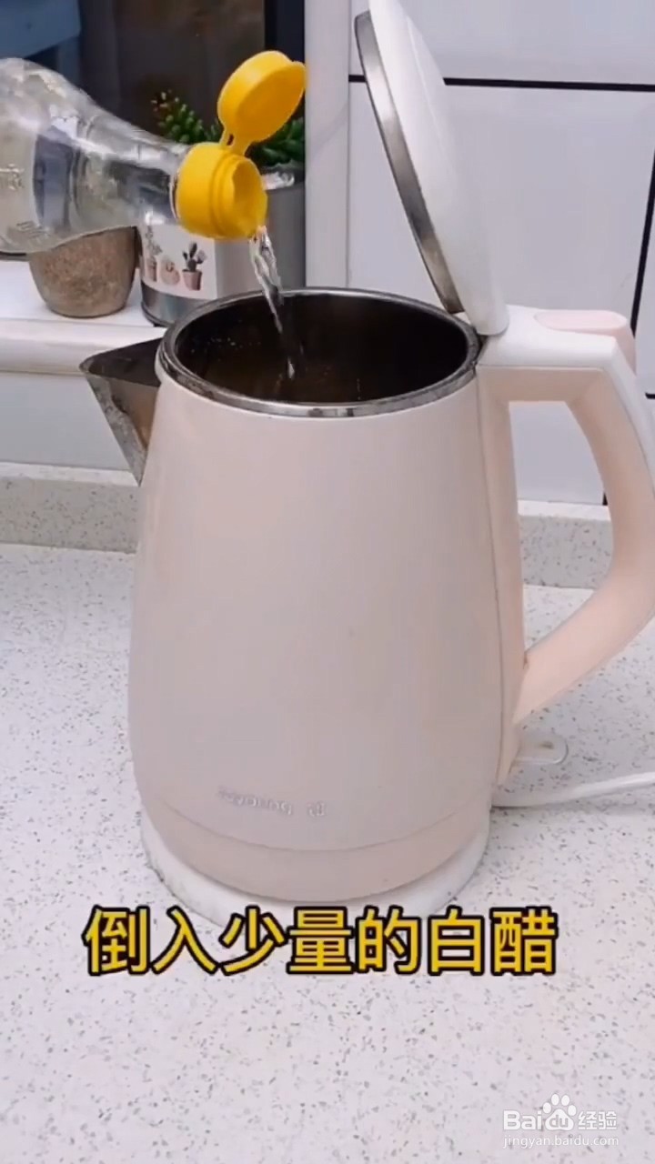 如何清洁水壶的水垢？