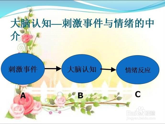 情绪产生过程的系统解释