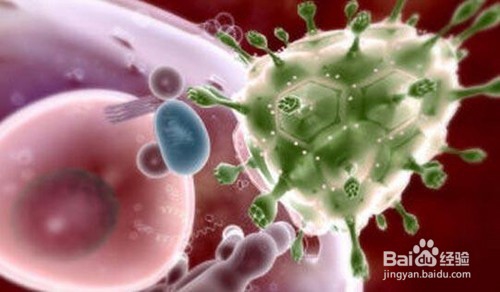 铁皮石斛怎么吃?铁皮石斛有哪些功效与作用?