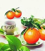 电脑辐射怎么办