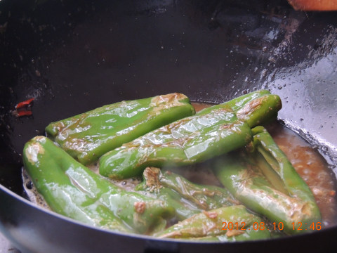 荷包辣椒大放送！不要舔屏幕哦