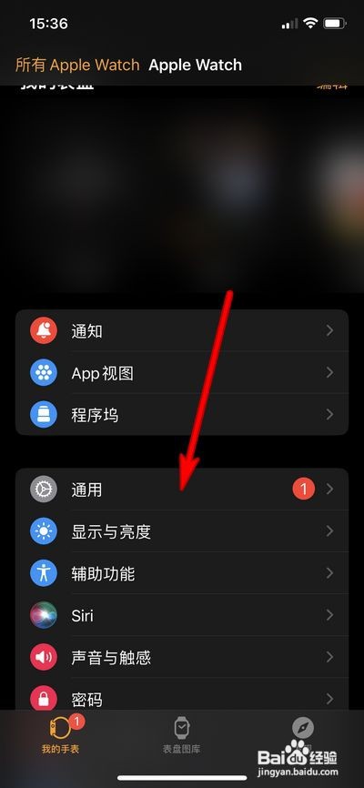 苹果手表在哪里更新系统？