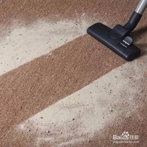 如何清洗家里的地毯？
