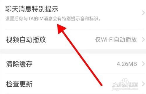 如何查看猎游聊天消息特别提示