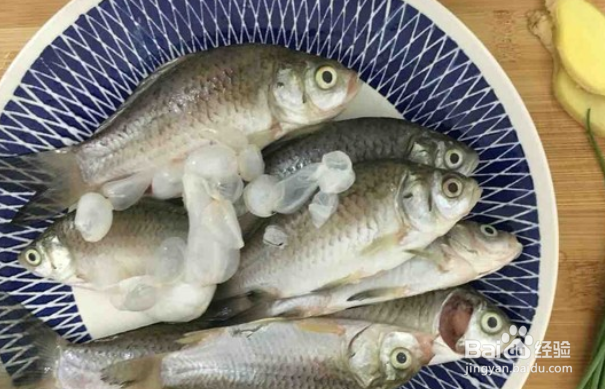 香浓鲫鱼大补汤