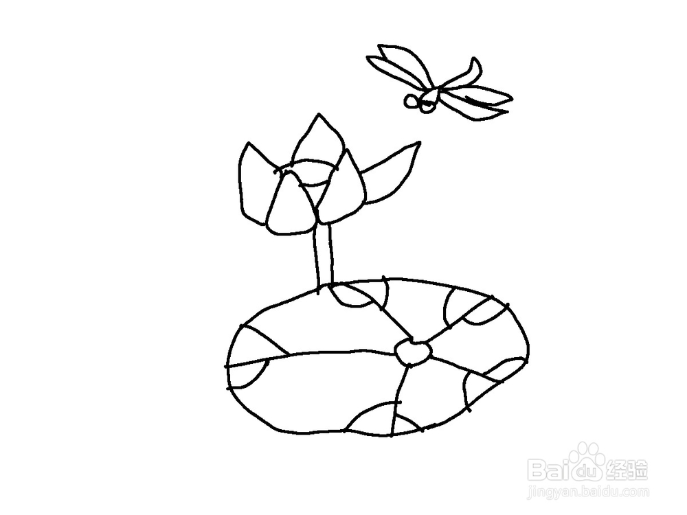 美术 简笔画荷花