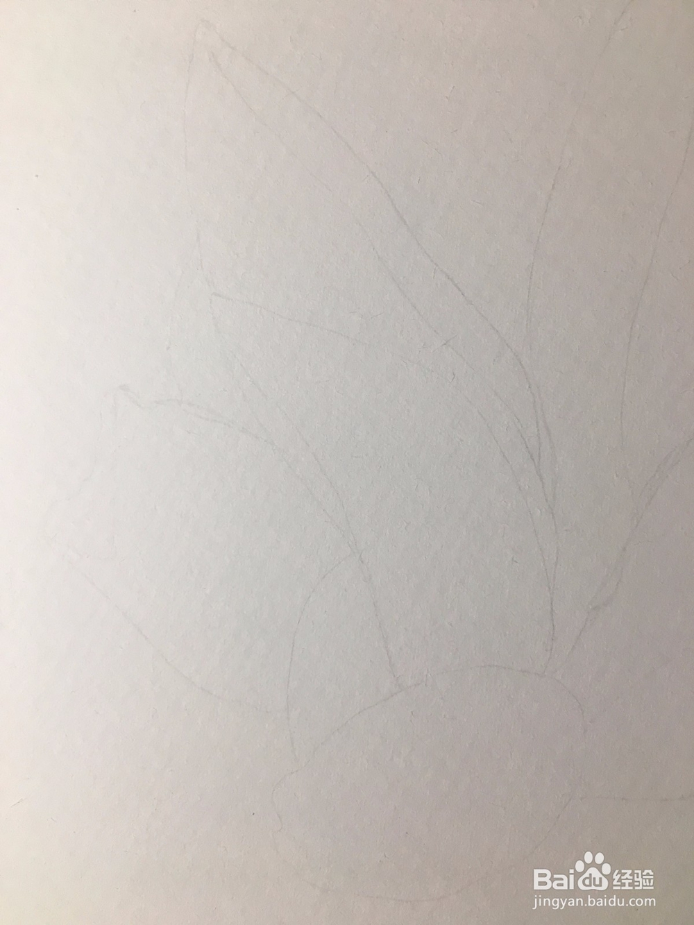 手绘画一朵荷花的彩铅画 莲花铅笔画
