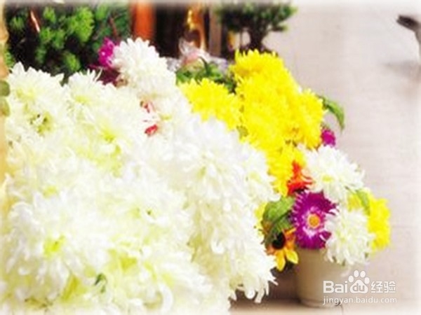 清明扫墓，环保出游