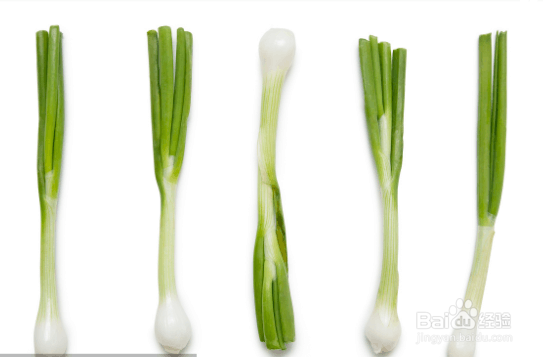 列举蜂蜜不能与什么食物同吃