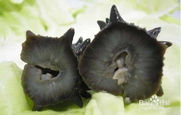 补钙食物前六名