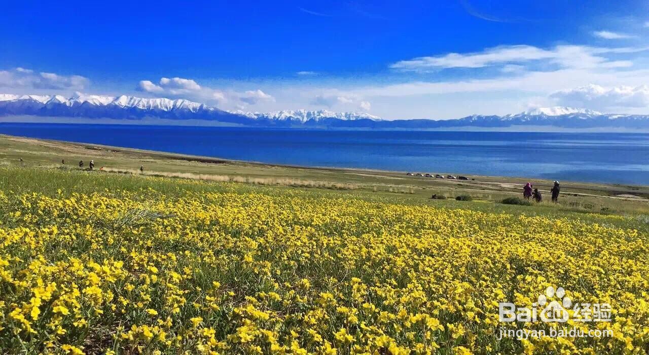 博尔塔拉周边好玩的人气旅游景点推荐