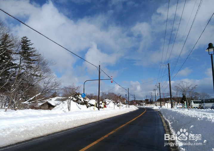 一条性价比爆棚的万元以下日本北海道观雪路线