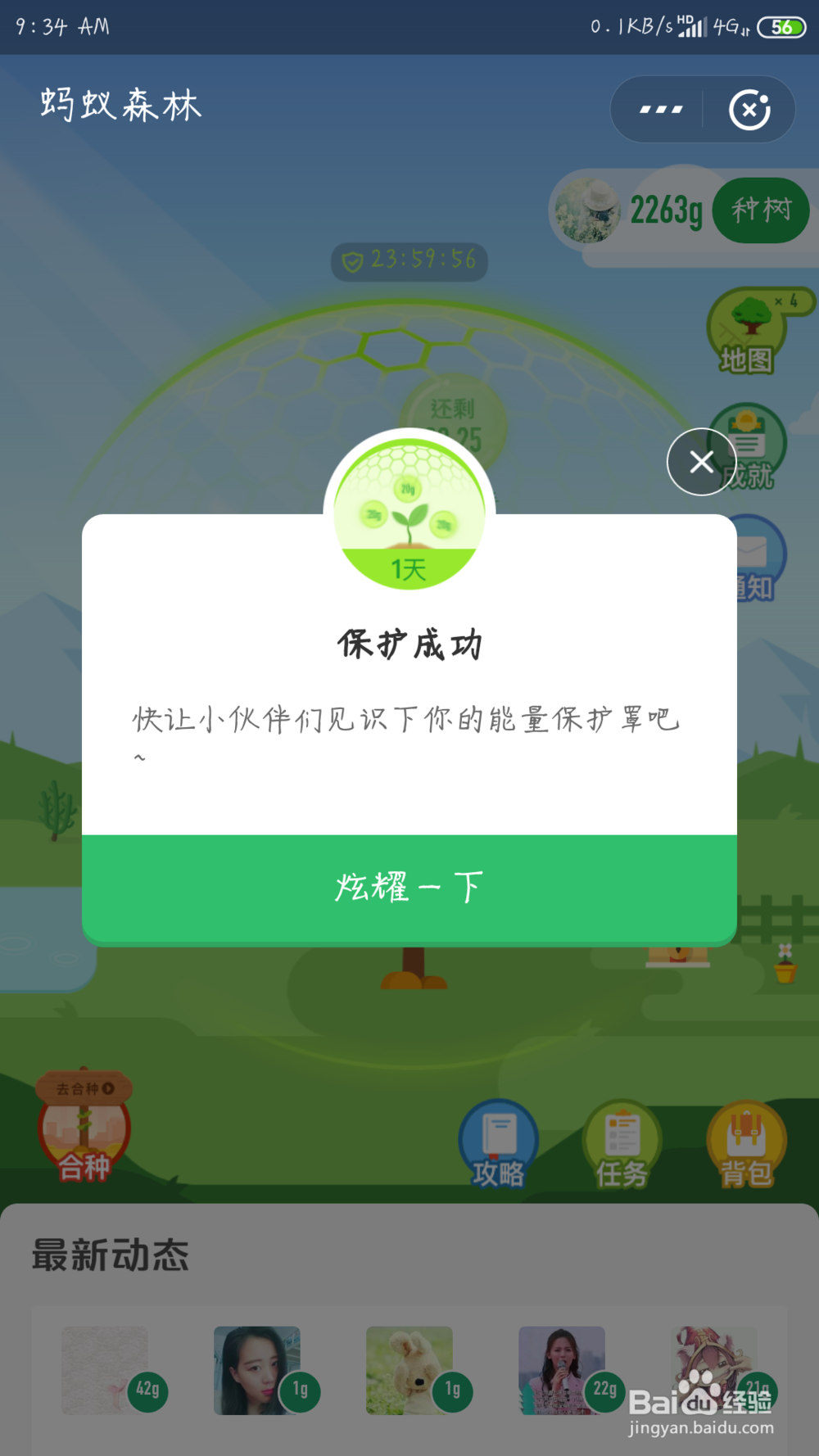 蚂蚁森林的能量保护罩是什么 怎么使用