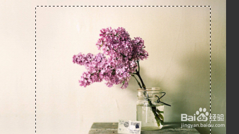 怎么用PS模糊照片