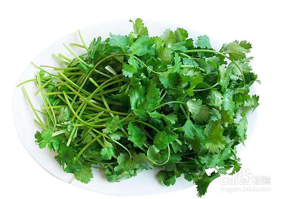 童年味道紫菜蛋花汤