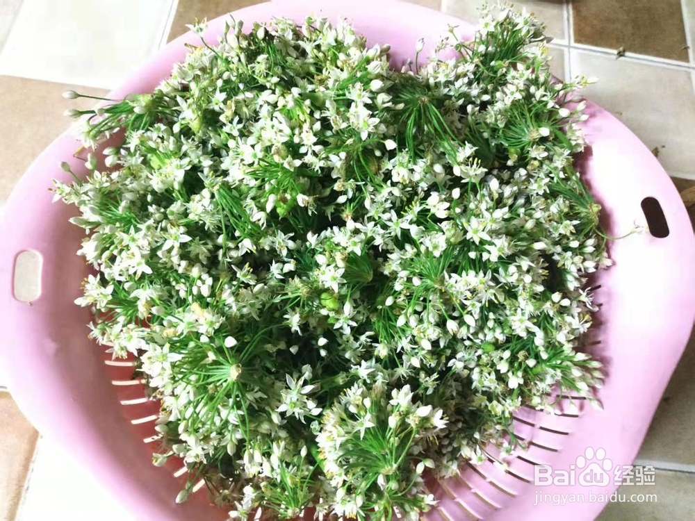 怎样制作韭花酱