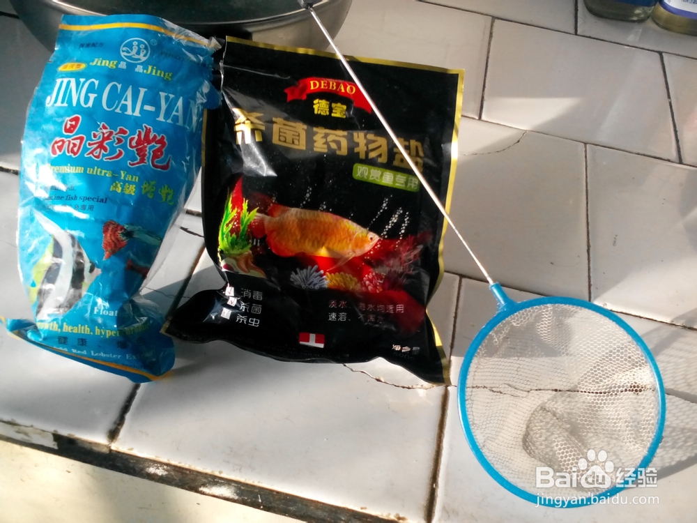 新手养鱼应该注意什么