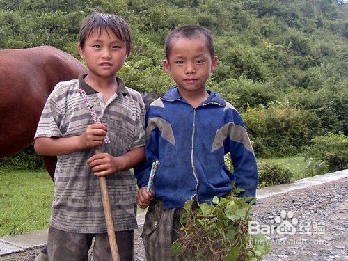 过来人谈培养学习兴趣