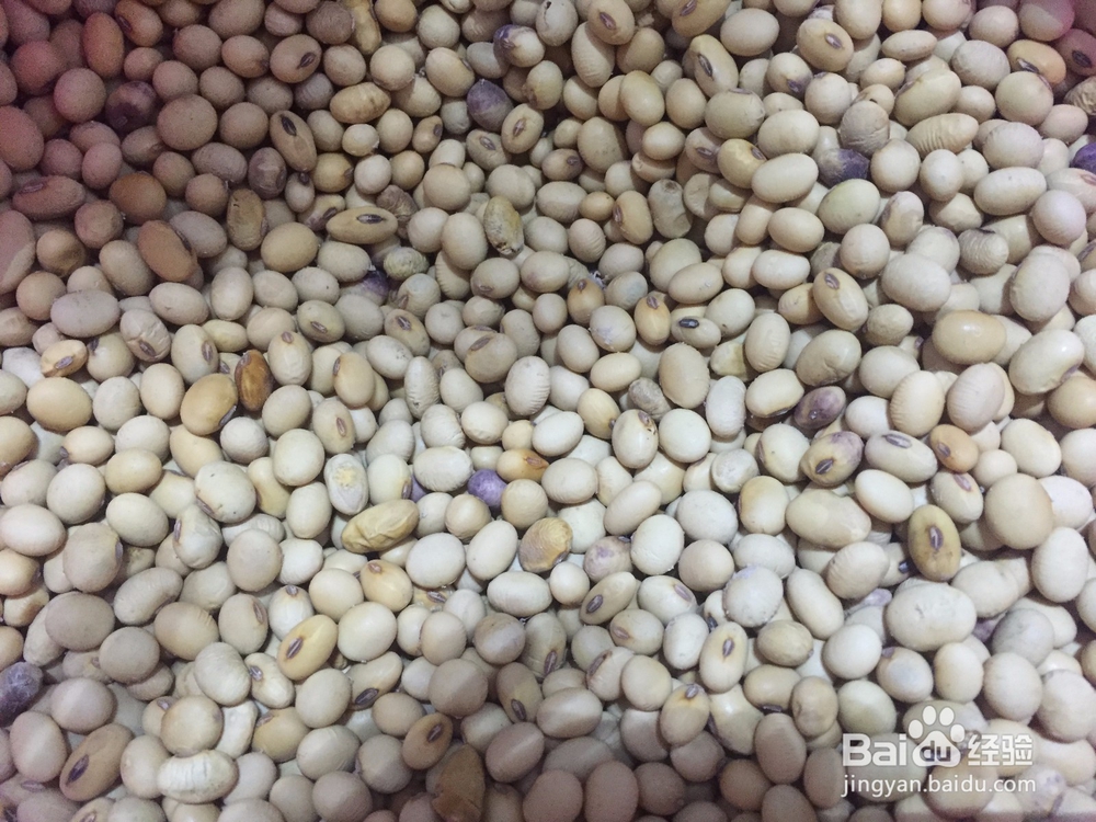 生抽猪脚怎么做