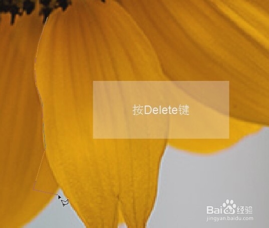 photoshop入门教程（23）