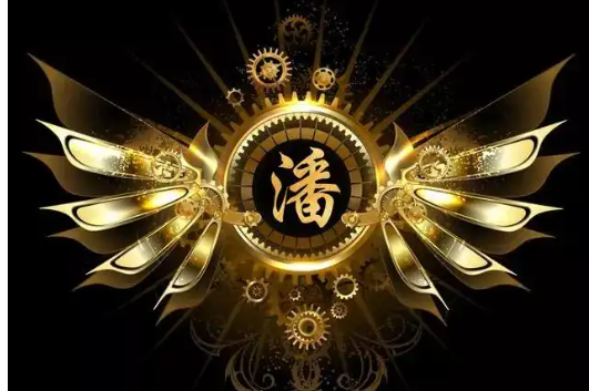 潘姓的研究结论是什么