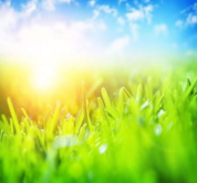 羽绒服机洗后 羽绒成块怎么办