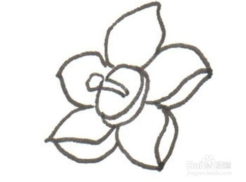 教你如何画出美丽的水仙花