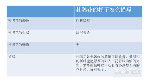 杜鹃花的样子怎么描写