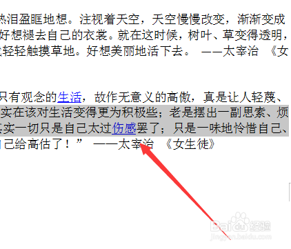 如何在WPS中调整字符间距