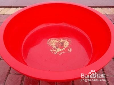 东北凉拌葱花聚