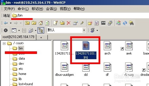 Centos Linux 6.2 命令行安装飞信(fetion)