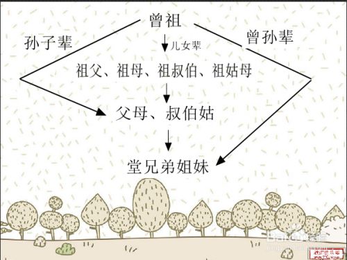 第四代人怎么称呼