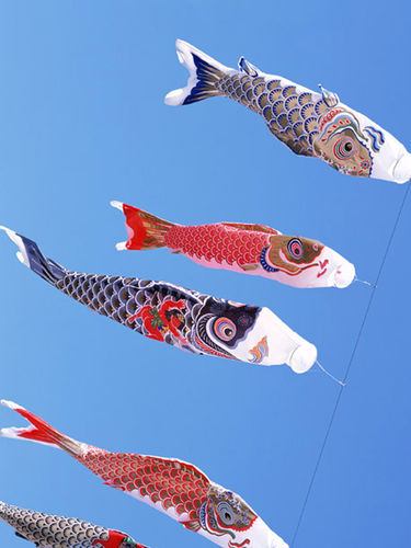 日语考级语法记忆四步走