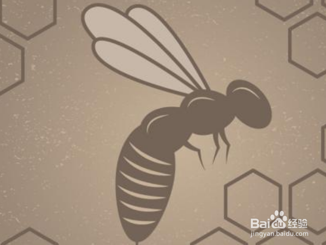 蜂王藏在蜂群什么位置