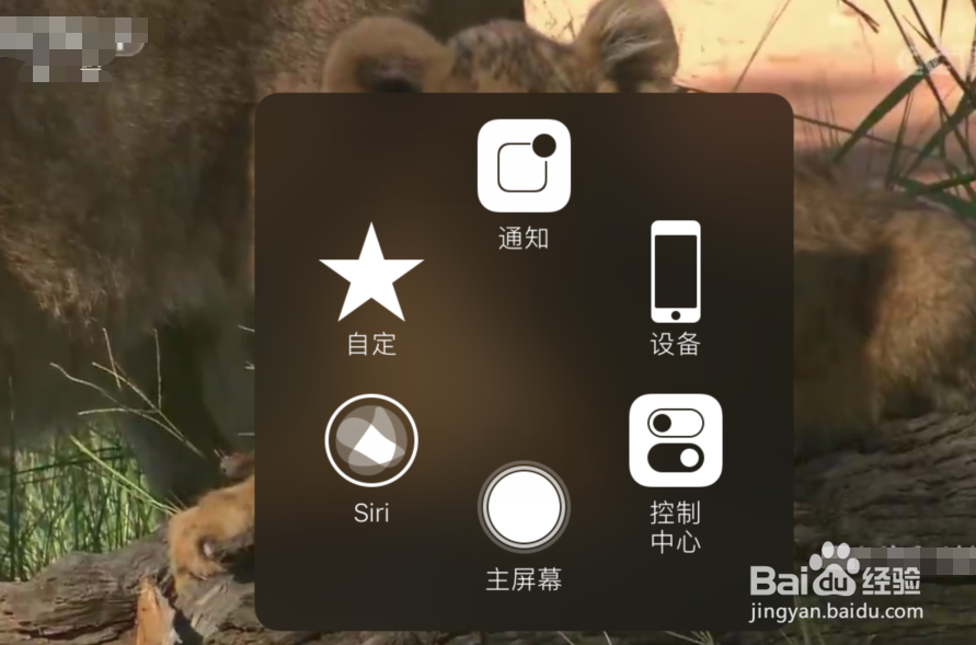 苹果手机如何在视频中截图？