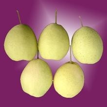 每个月吃什么水果最好