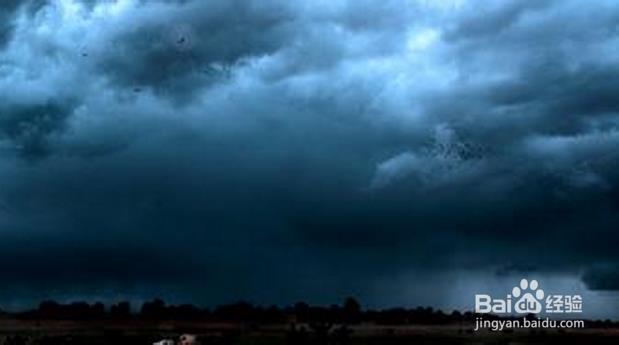 内裤该正面晒还是反面晒?